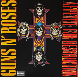Appetite For Destruction 720642414811 1