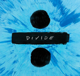÷ (Divide) 190295859015