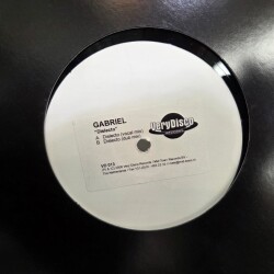 Dislecto VD 013 1