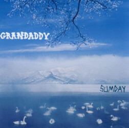 Sumday VVR1022238 1