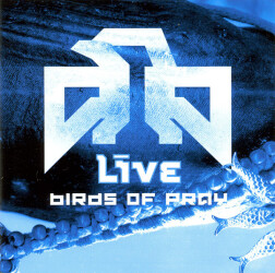 Birds Of Pray 9860295 1