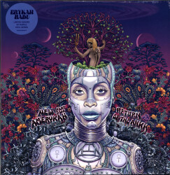 New Amerykah Part Two: Return Of The Ankh 00602435946078