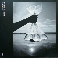 Music For Animals LTR019 1