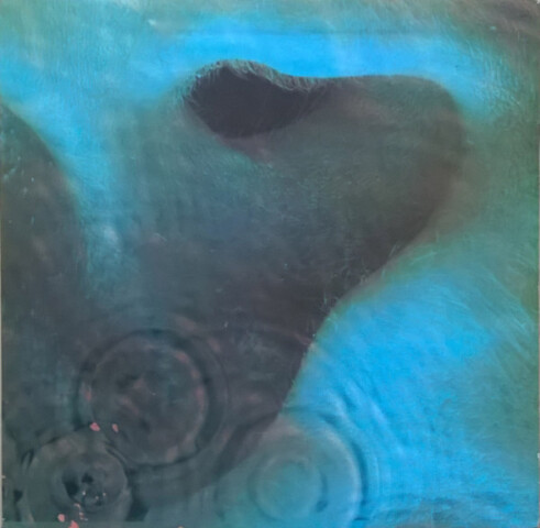 Meddle 5C062-04 917