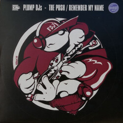 The Push / Remember My Name FLR.016 1
