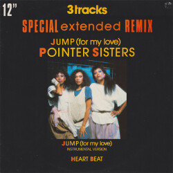 Jump (For My Love) (Special Extended Remix) FC-3781 1