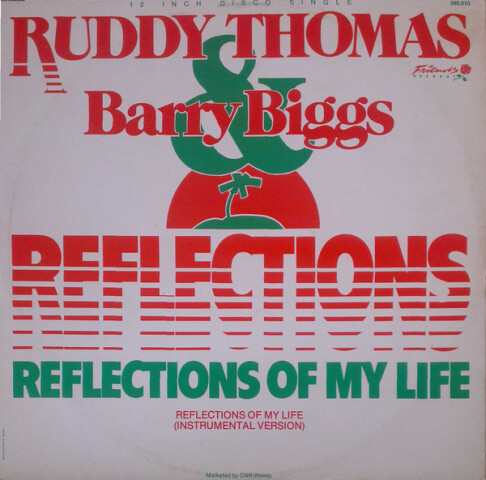 Reflections Of My Life 390.010