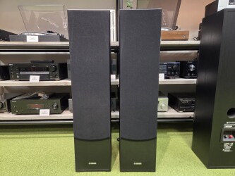 NS-F51 Zuilspeaker set 2021/11